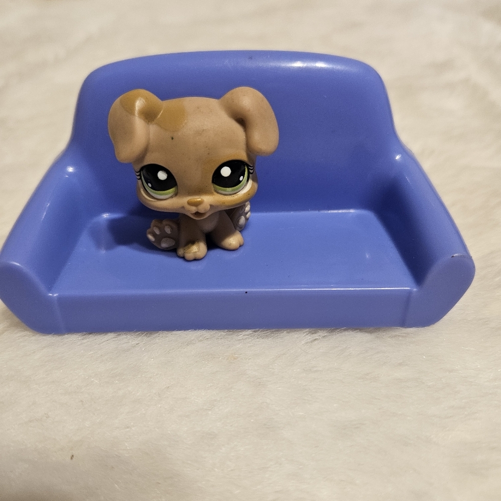 Littlest Pet Shop Tan Brown Baby Boxer Puppy Green Eyes LPS Rare